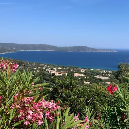 Cacharelle Vue Piscine Oda ve Kahvaltı Cavalaire-sur-Mer
