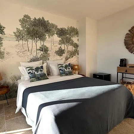 B&B Cacharelle - Splendide Vue - Piscine Privee 4*